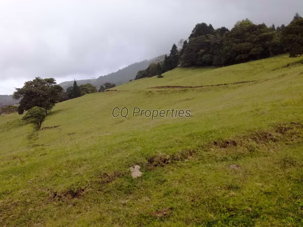 Finca en El Roble/Santa Barbara 18.7 hectareas