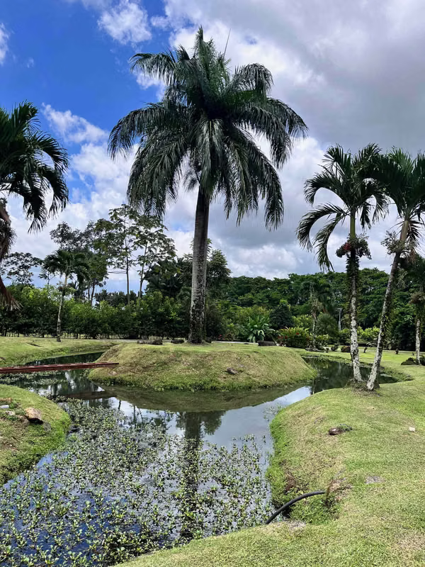 Vendo casa preciosa en Quintas del Trópico Guapiles