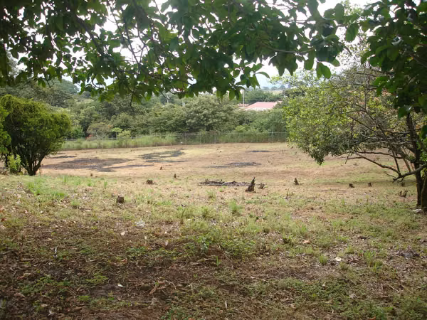 Venta de terreno en el Coyol de Alajuela
