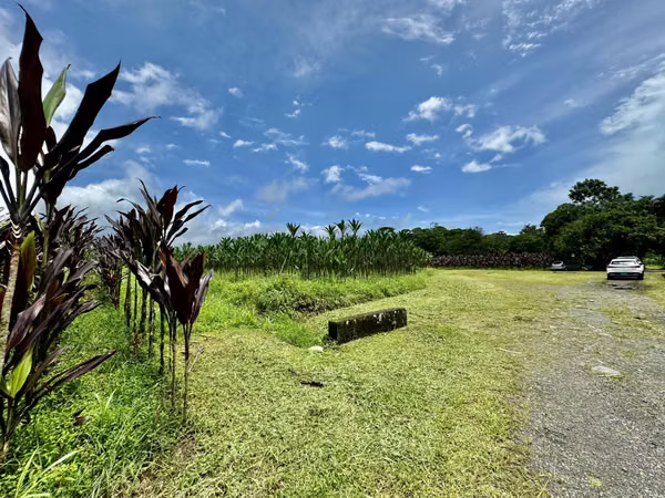 FINCA EN GUÁPILES . USO DE SUELO MIXTO