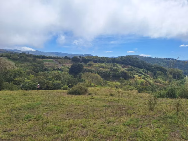 Se vende finca Volio, San Ramon, Alajuela