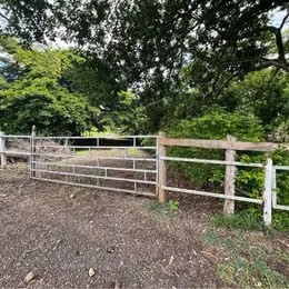 Finca Ganadera en Orotina