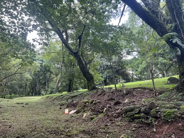 SE VENDE TERRENO EN OROTINA DESARROLLO TURÍSTICO O URBANÍSTICO