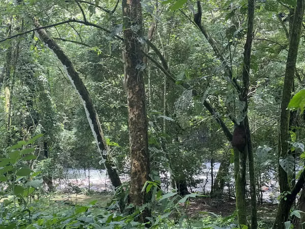 SE VENDE TERRENO EN OROTINA DESARROLLO TURÍSTICO O URBANÍSTICO