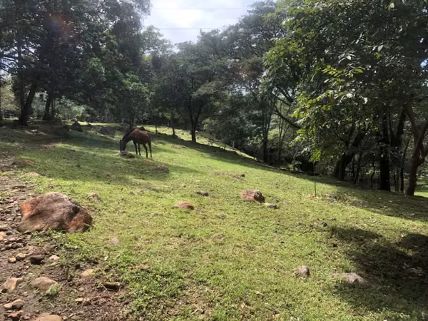 SE VENDE TERRENO EN OROTINA DESARROLLO TURÍSTICO O URBANÍSTICO