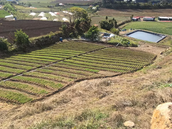 Farm for Sale in Tierra Blanca, Cartago ID 15030