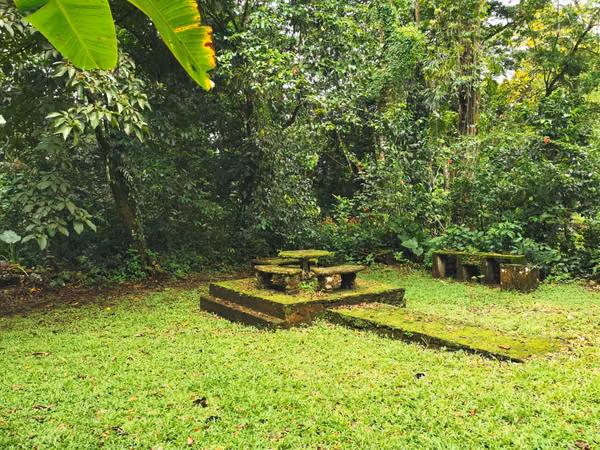 Venta de Finca en Guácimo de Limón 10.900 m2 REBAJADA