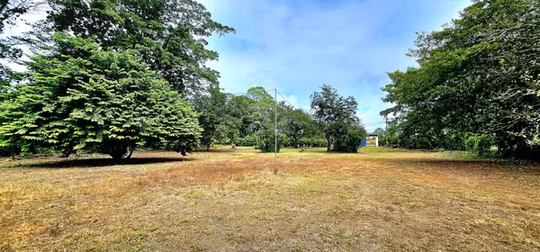 Venta de Finca en Guácimo de Limón 10.900 m2 REBAJADA