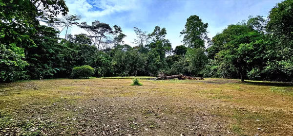 Venta de Finca en Guácimo de Limón 10.900 m2 REBAJADA