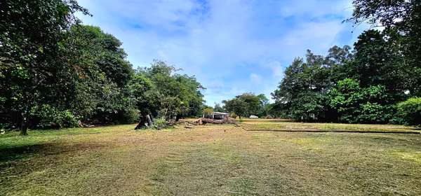 Venta de Finca en Guácimo de Limón 10.900 m2 REBAJADA