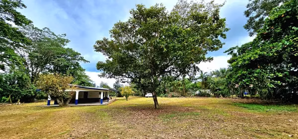 Venta de Finca en Guácimo de Limón 10.900 m2 REBAJADA