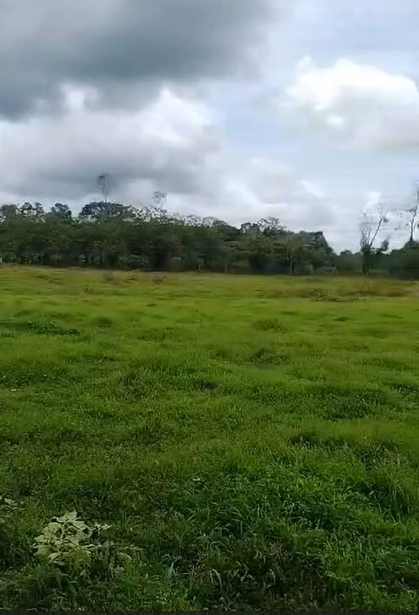 Se vende propiedad en Horquetas 11 hectáreas