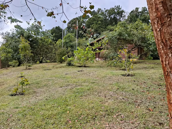 Cabaña de Montaña en Venta – San Pablo de León Cortés,Naturaleza