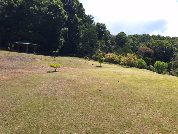 Cabaña de Montaña en Venta – San Pablo de León Cortés,Naturaleza