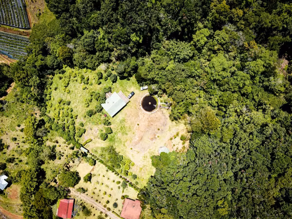 Cabaña de Montaña en Venta – San Pablo de León Cortés,Naturaleza