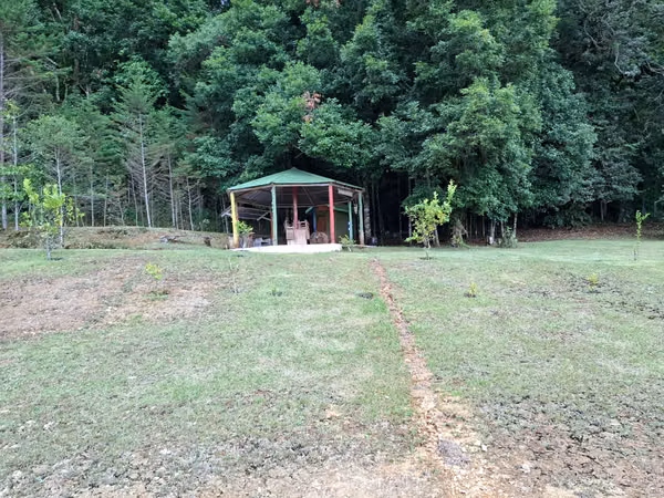 Cabaña de Montaña en Venta – San Pablo de León Cortés,Naturaleza