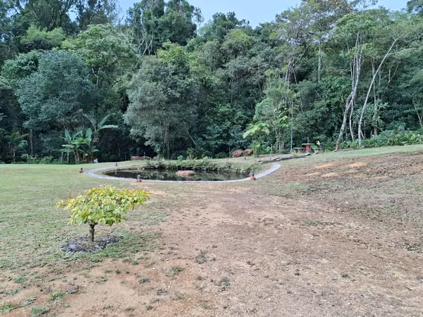 Cabaña de Montaña en Venta – San Pablo de León Cortés,Naturaleza