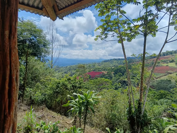 GRAN REBAJO!!!!!Se vende finca San Miguel, La Tigra, San Carlos