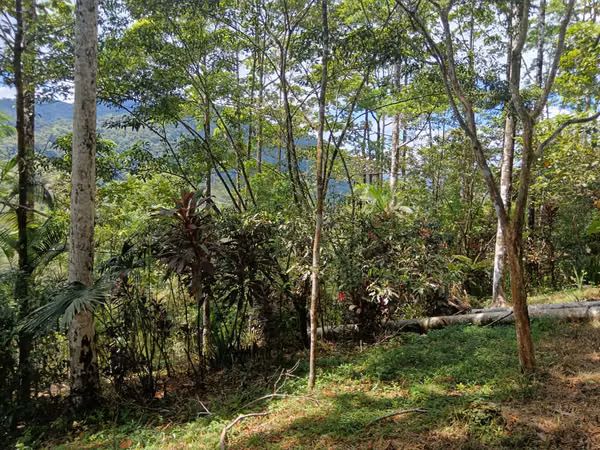 GRAN REBAJO!!!!!Se vende finca San Miguel, La Tigra, San Carlos