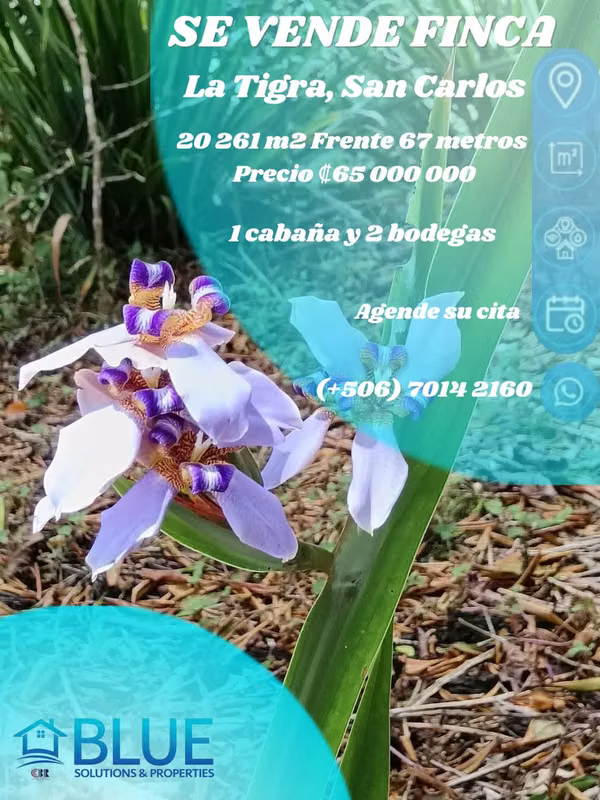 NEW PRICE!!!!!!San Miguel farm for sale, La Tigra, San Carlos