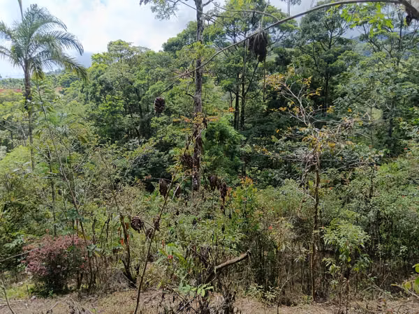 GRAN REBAJO!!!!!Se vende finca San Miguel, La Tigra, San Carlos