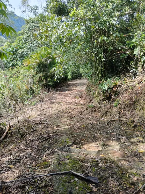 GRAN REBAJO!!!!!Se vende finca San Miguel, La Tigra, San Carlos
