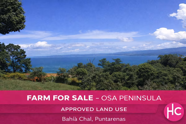 Farm for Sale in Osa Peninsula – Bahía Chal | Approved Land Use