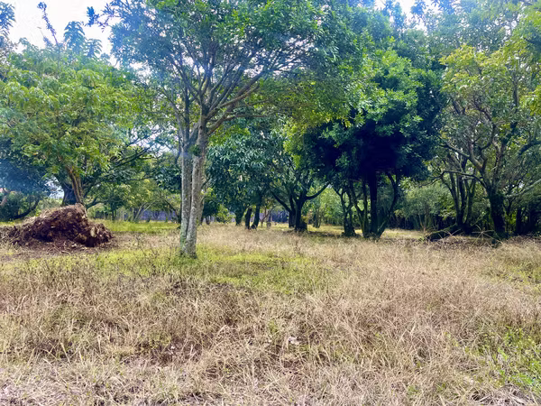 Terreno en Venta en Concepción de San Rafael de Heredia