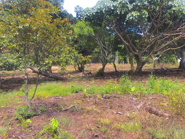 Terreno en Venta en Concepción de San Rafael de Heredia