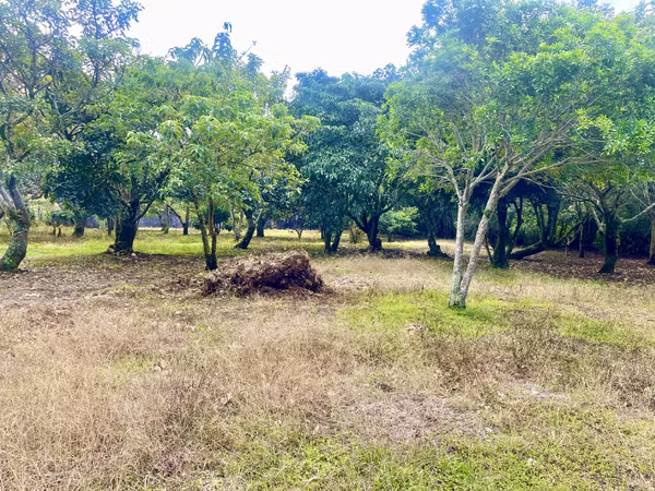 Terreno en Venta en Concepción de San Rafael de Heredia