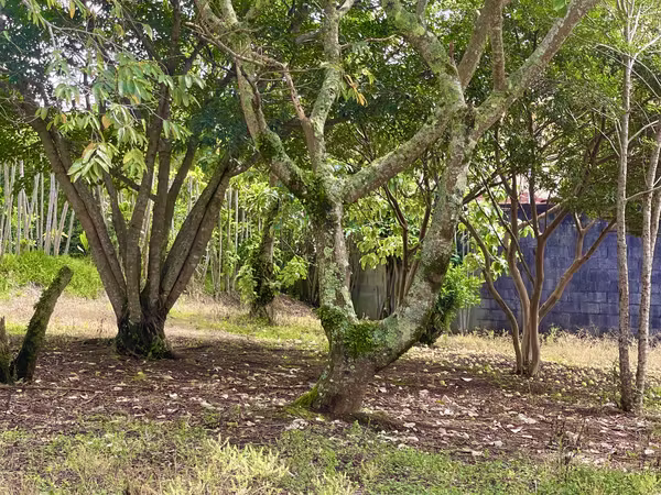 Terreno en Venta en Concepción de San Rafael de Heredia