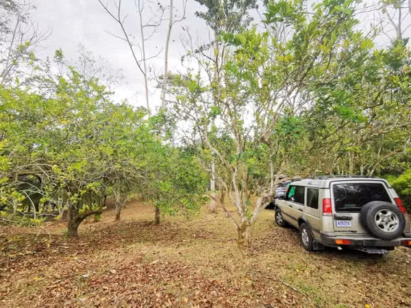 Lot for sale, Florence de San Carlos, Las Cuestillas, Rio peje