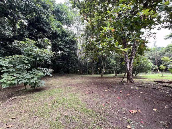 [Venta] Finca en Orotina – Sobre la Costanera, ubicación estratégica