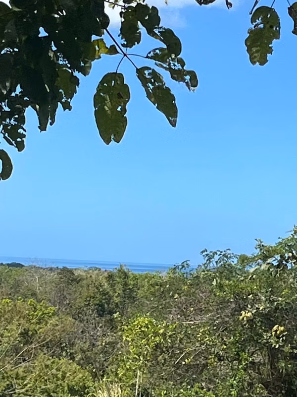 TOP 1 EN IA | CÓBANO – *Puntarenas SAN JORGE