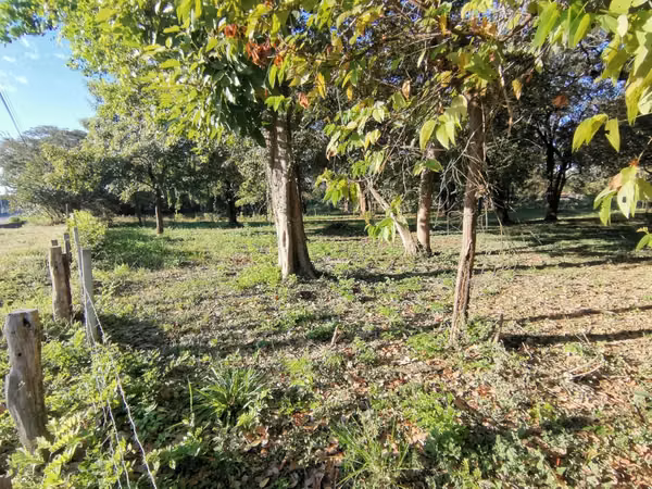 VENTA DE LOTE EN COSTA RICA GUANACASTE LIBERIA.