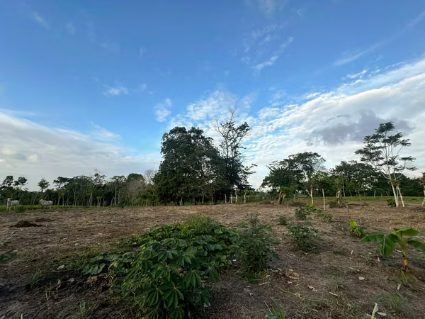 Finca Ganadera y de Inversión de 15 Hectáreas | Naciente de Agua | San Carlos