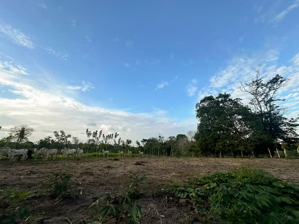 Finca Ganadera y de Inversión de 15 Hectáreas | Naciente de Agua | San Carlos
