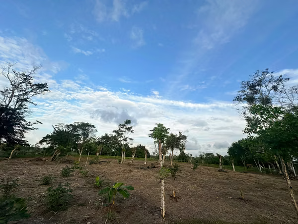Finca Ganadera y de Inversión de 15 Hectáreas | Naciente de Agua | San Carlos