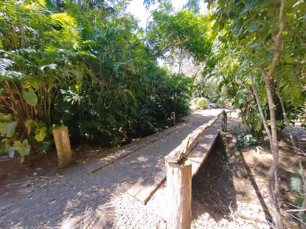 Finca en San Rafael de Heredia. 3 hectáreas 6432 m2.
