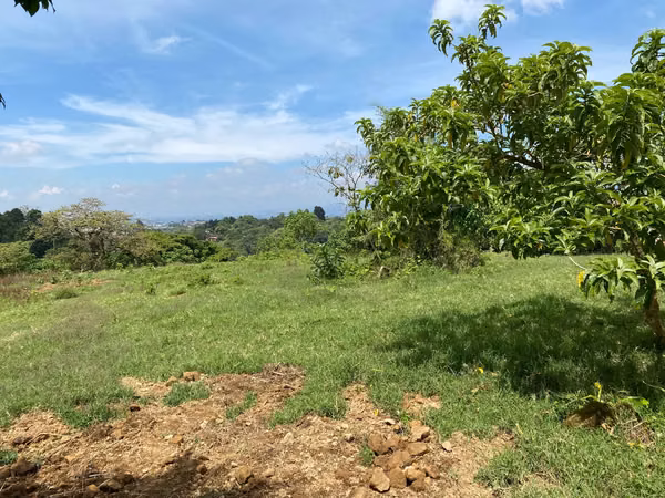 Price Reduced from 40 to20 per Square Meter!  4437