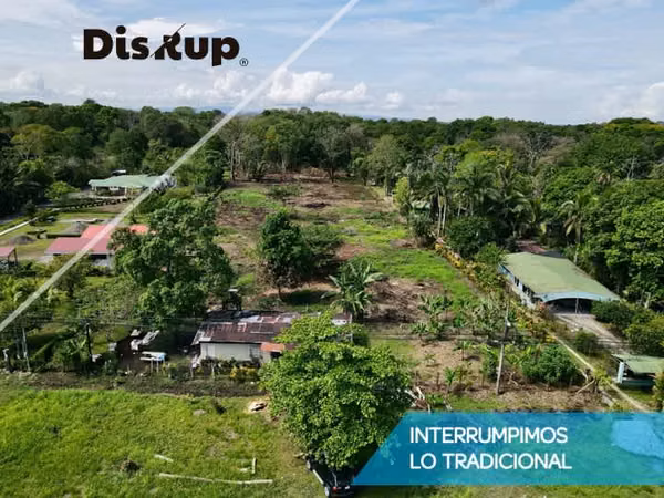 Venta de finca en Ciudad Neily, Corredores. Coloradito, 15 mil m2.