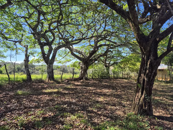 Venta de lote residencial en San Joaquín, Puntarenas