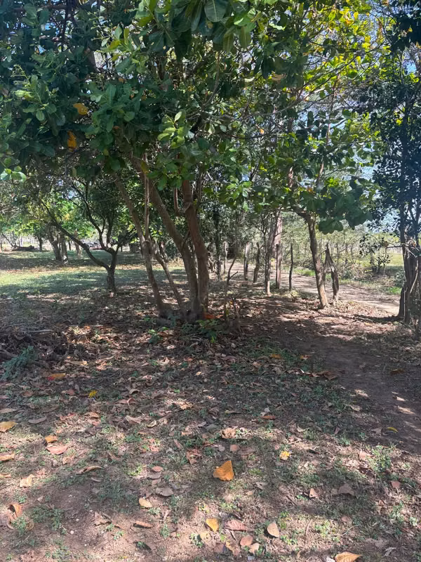 Lote 1680M2 Guanacaste – Belén, Pueblo Santa Ana