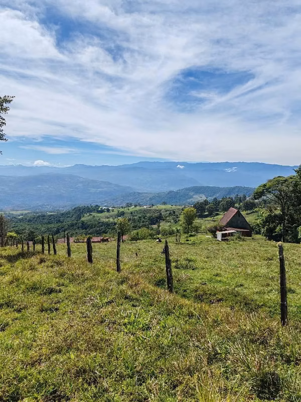 Venta terreno en santa cruz de Turrialba 9 Hectareas