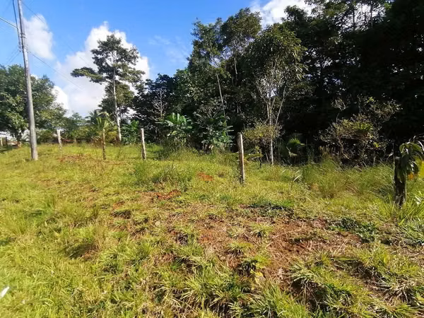 FINCA EN VENTA. 7,8 HECT. RIO. FRENTE A CALLE