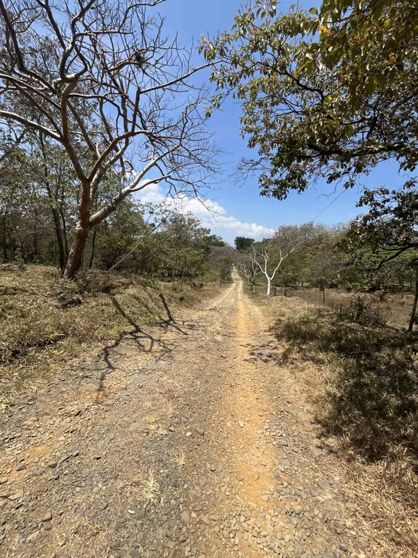 3.5 Hectares of Land in La Garita with Mixed-Use Zoning