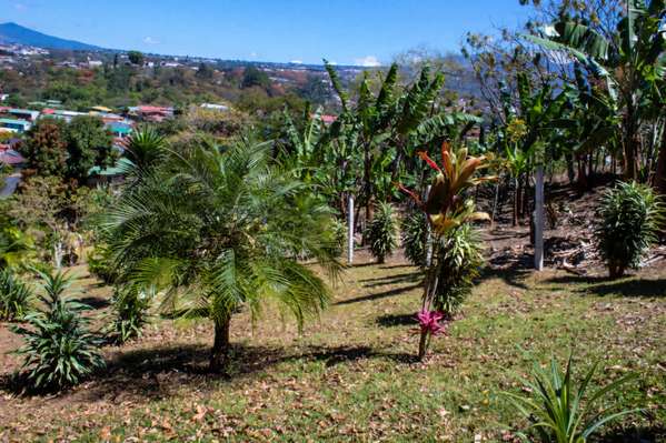 Land for sale in Curridabat, La Colina