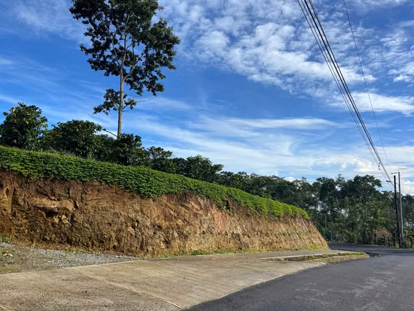 Lotes en venta en San Juan Norte Turrialba.