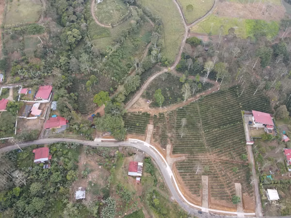 Lotes en venta en San Juan Norte Turrialba.