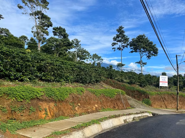 Lotes en venta en San Juan Norte Turrialba.